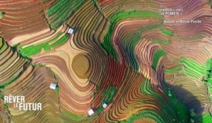 EXCLU - AVANT-PREMIERE :  A quoi ressemblera l’agriculture en  2050 ?  La chaîne Planète+ a enquêté - Regardez