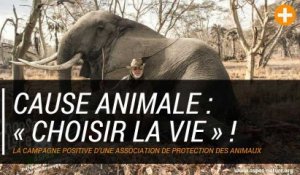 Cause animale : « Choisir la vie » !