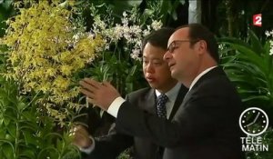 Asie : dernier voyage du quinquennat pour Hollande