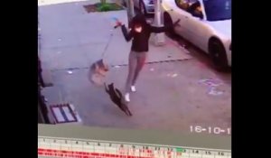 Quand une femme essaye de protéger son chien d'une attaque de chat.