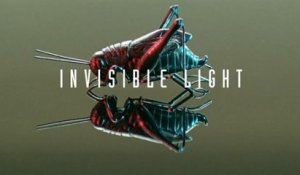 Scissor Sisters - Invisible Light