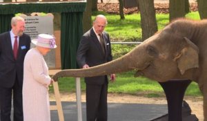 Grande-Bretagne: la reine inaugure un centre de soins pour éléphants