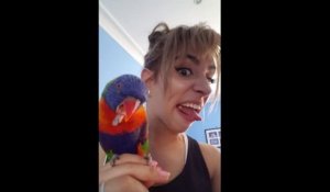Un perroquet imite sa maîtresse