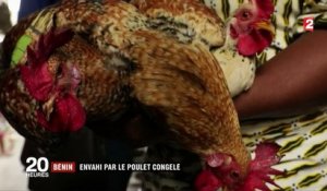 Bénin : le poulet congelé européen concurrence les élevages locaux