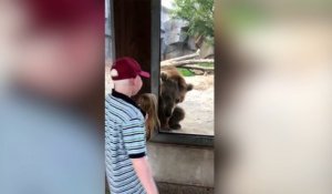 Une petite fille joue à cache cache avec un ours !