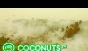 Drone video: Deforestation fire & haze in Borneo, Indonesia