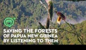 Saving the forests of Papua New Guinea by listening to them, literally | Coconuts TV