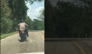Un motocycliste se fait attaquer par un serpent sur une route de campagne