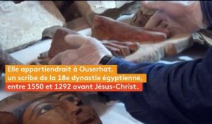 Egypte : des archéologues découvrent des momies dans une tombe de l'ère pharaonique
