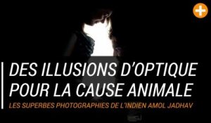 Des illusions d’optique pour la cause animale