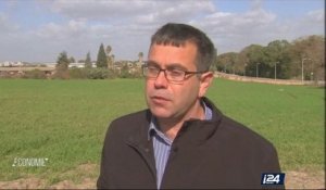 Agriculture : la société israélienne NRGene entend mettre à profit les dernières avancées de la recherche sur le séquençage du génome du blé, pour enrayer le fléau de la malnutrition dans le monde