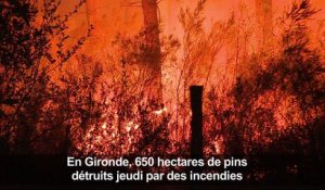 Médoc : un violent incendie ravage plus de 600 ha de forêt
