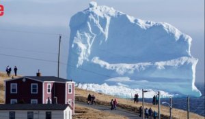 Un iceberg de la taille de la statue de la Liberté dérive vers le Canada