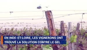 Comment ces hélicoptères veulent sauver le vignoble tourangeau