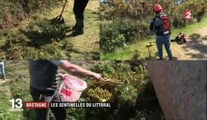Bretagne : les sentinelles du littoral