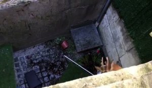 Angoulême : un chevreuil chute des remparts et tombe dans un jardin