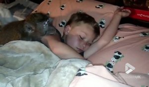 Cet enfant dort avec son singe.. Trop mignon !