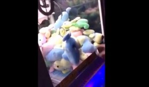 Comment gagner à tous les coups une peluche aux jeux de pinces !