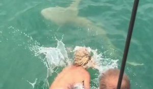 Un pêcheur saute dans l'eau pour maîtriser un requin