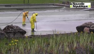 VIDEO. Loir-et-Cher : grand nettoyage à la baignade naturelle de Mont-Près-Chambord