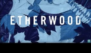 Etherwood - We're Nothing Without Love (feat. S.P.Y)