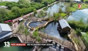 Parc animalier : des alligators pour séduire