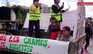 Lorient. 2000 personnes à la marche contre Monsanto