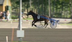 Un cheval s'empale sur une barrière