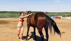 Ce cheval vraiment très cool se montre d'une patience exemplaire face à une cavalière vraiment très empotée qui tente de le monter à cru