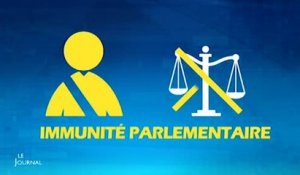 Législatives: Quels sont les droits et devoirs d'un député ?