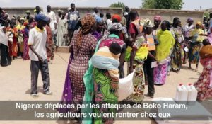 Les agriculteurs du nord-est du Nigeria veulent rentrer chez eux