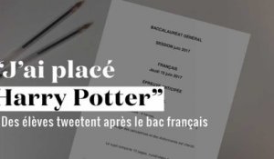 "J'ai placé Harry Potter dans la dissert'" : les élèves tweetent après le bac français