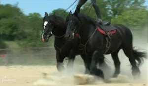 Tourisme : Un spectacle équestre très attendu à Talmont