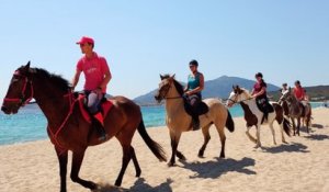 Randonnée équestre : à cheval sur les plages d'Ajaccio