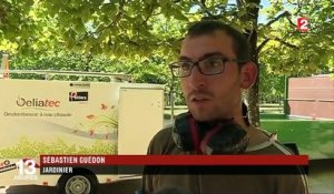Canicule : Poitiers s'organise face à la chaleur