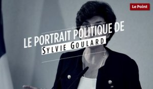 Le portrait politique de Sylvie Goulard