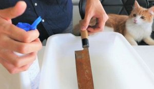 Restauration d'un couteau japonais rouillé