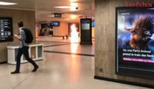 Bruxelles : un témoin raconte l’explosion à la gare centrale