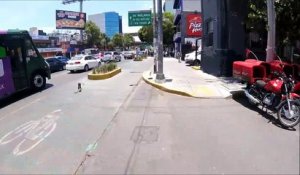 Un cycliste course un chien au milieu de la route à Mexico