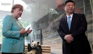 Avant le G20, les "pandas ambassadeurs" rapprochent Merkel et Xi