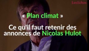« Plan climat » : ce qu'il faut retenir des annonces de Nicolas Hulot