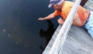 Un bon pêcheur pêche avec une main !