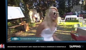 Découvrez le restaurant 100% vegan de Pamela Anderson à Ramatuelle  (Vidéo)