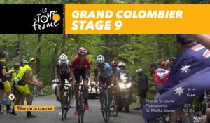 Difficultés dans le Grand Colombier / Difficulties in the Grand Colombier- Étape 9 / Stage 9 - Tour de France 2017