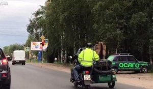 Un automobiliste filme une scène à peine croyable sur une route en Russie