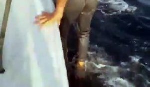 Un pêcheur iranien scandalise les internautes en marchant sur le dos d'un requin-baleine