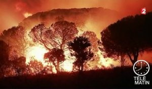 Incendies : le sud-est de la France en proie aux flammes