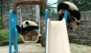 Des bébés pandas s'amusent à jouer au basket sur une aire de jeux pour enfants