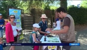 Emplois saisonniers : le zoo de Thoiry double ses effectifs pendant l'été