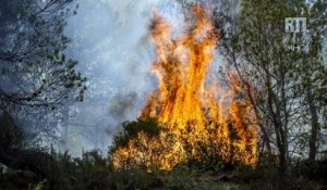 Incendies : le Sud-Est et la Corse ravagés par les flammes